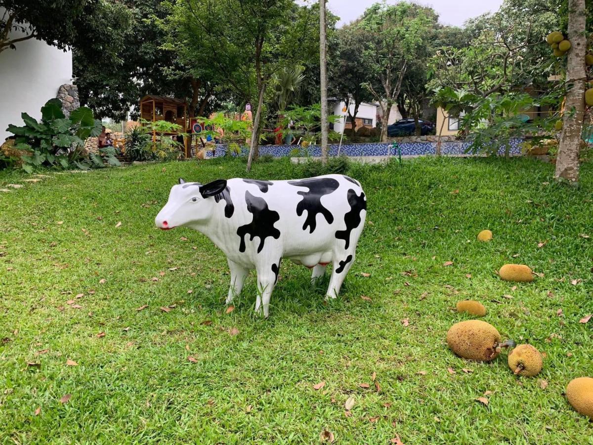 ホテル Bavi Annam Garden バヴィ エクステリア 写真